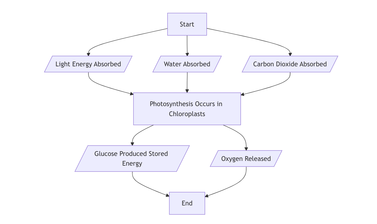 Process Flowcharts